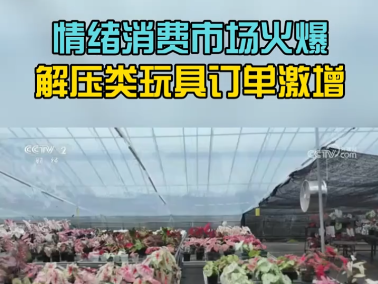情緒消費(fèi)市場(chǎng)火爆 解壓類(lèi)玩具訂單激增